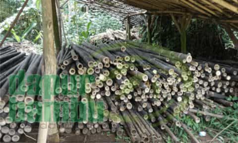 dapurbambu.com